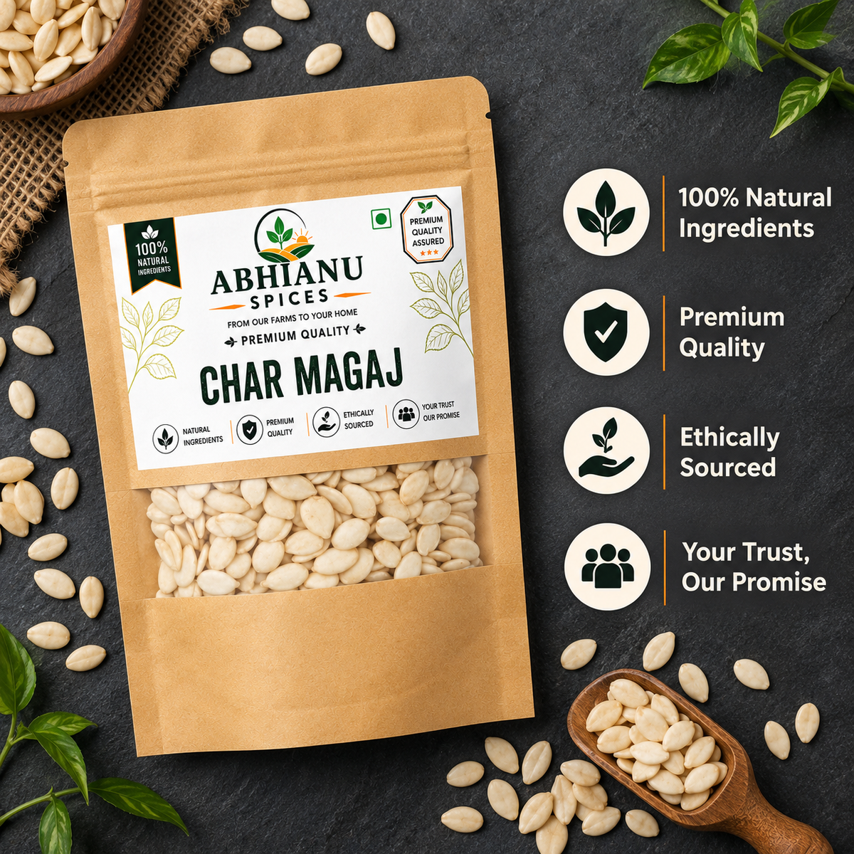 Abhianu Spices Char Magaj Mixed Seeds